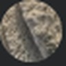 Rex profile photo